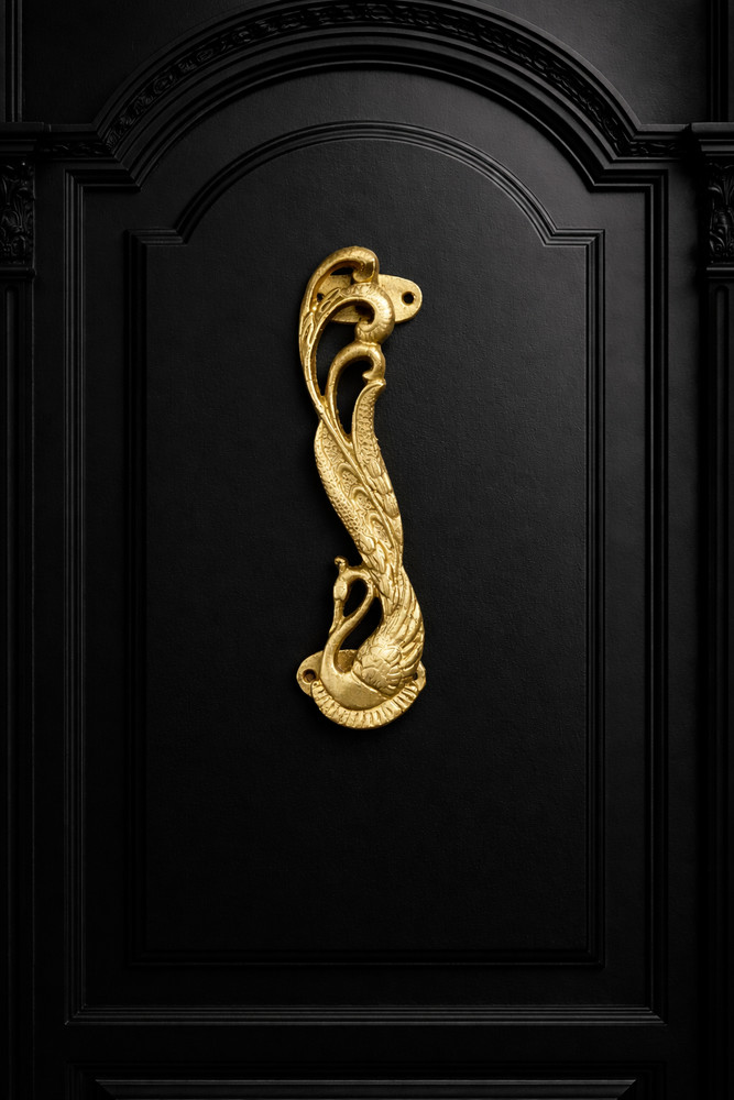 Solid Brass Peacock Door Handle Pull Ornate Bird Design 7" Tall