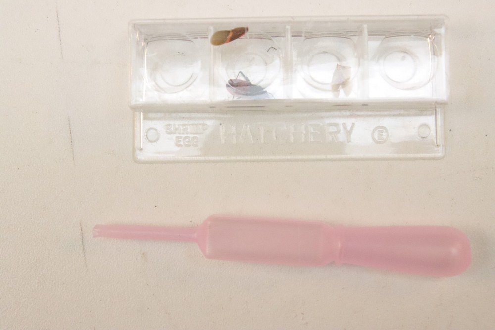 Gilbert Microscope and Lab Set - Original Metal Case, Microscope, ex scope 13022