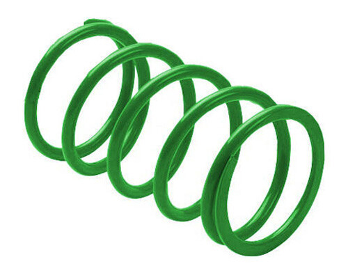 EPI ERLANDSON CLUTCH SPRING GREEN PEBS8