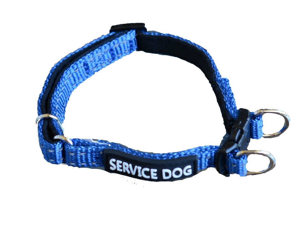 ALBCORP Reflective Service Dog Collar- Rubber Patch-Durable Nylon