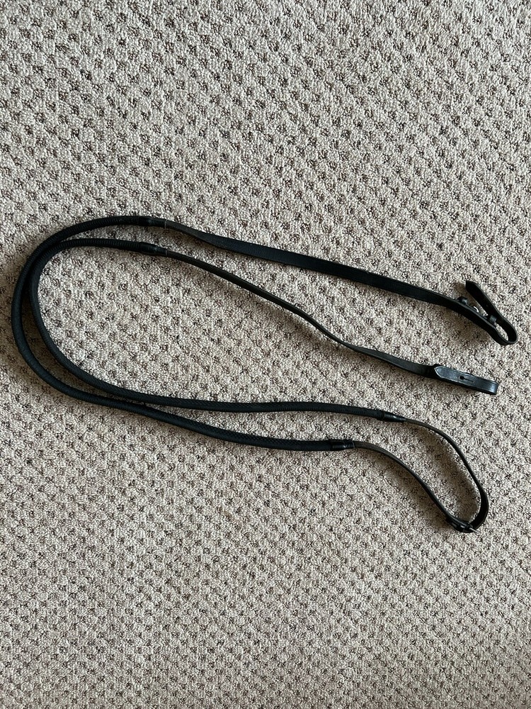 reins