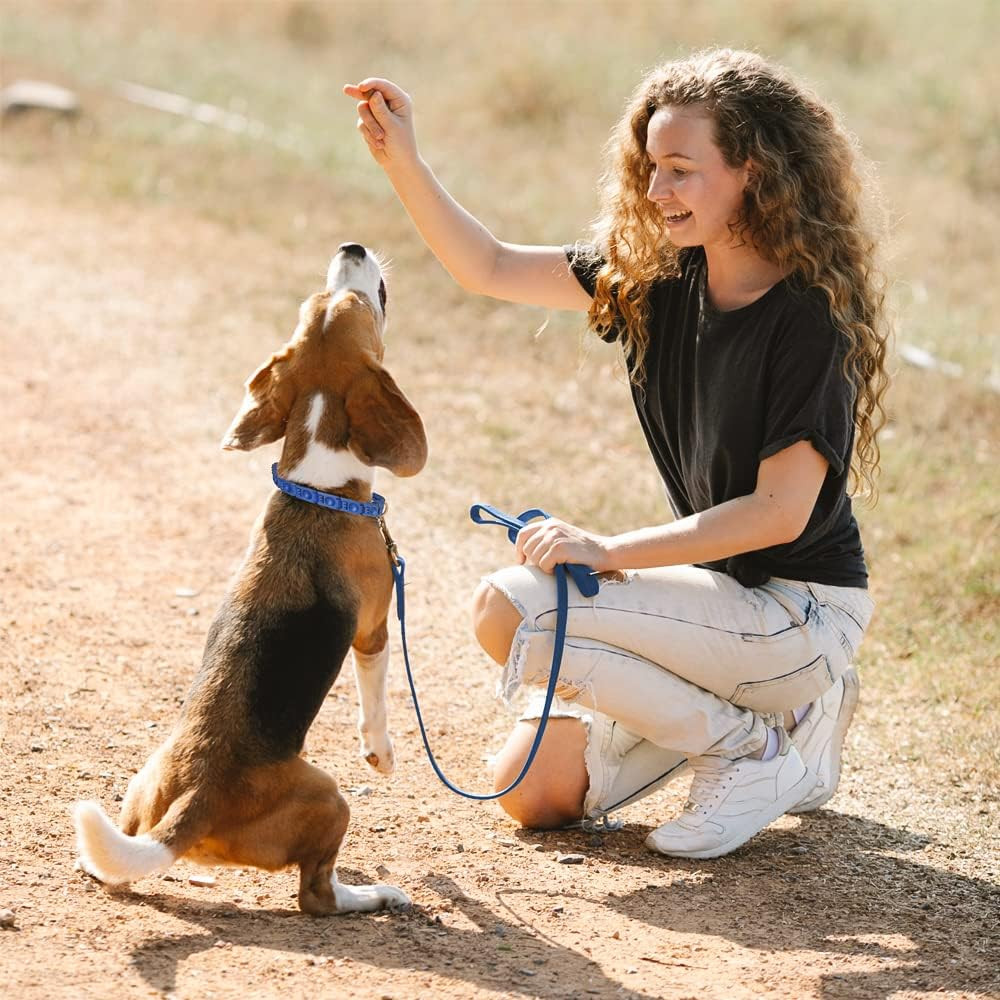 【Upgrade】 Adjustable Dog Training Collar with 4 Extra Links for Medium, Large an