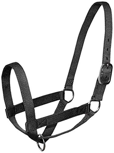 Durable Adjustable Nylon Cattle Halter Large 800 1400Lbs Multiple Colors
