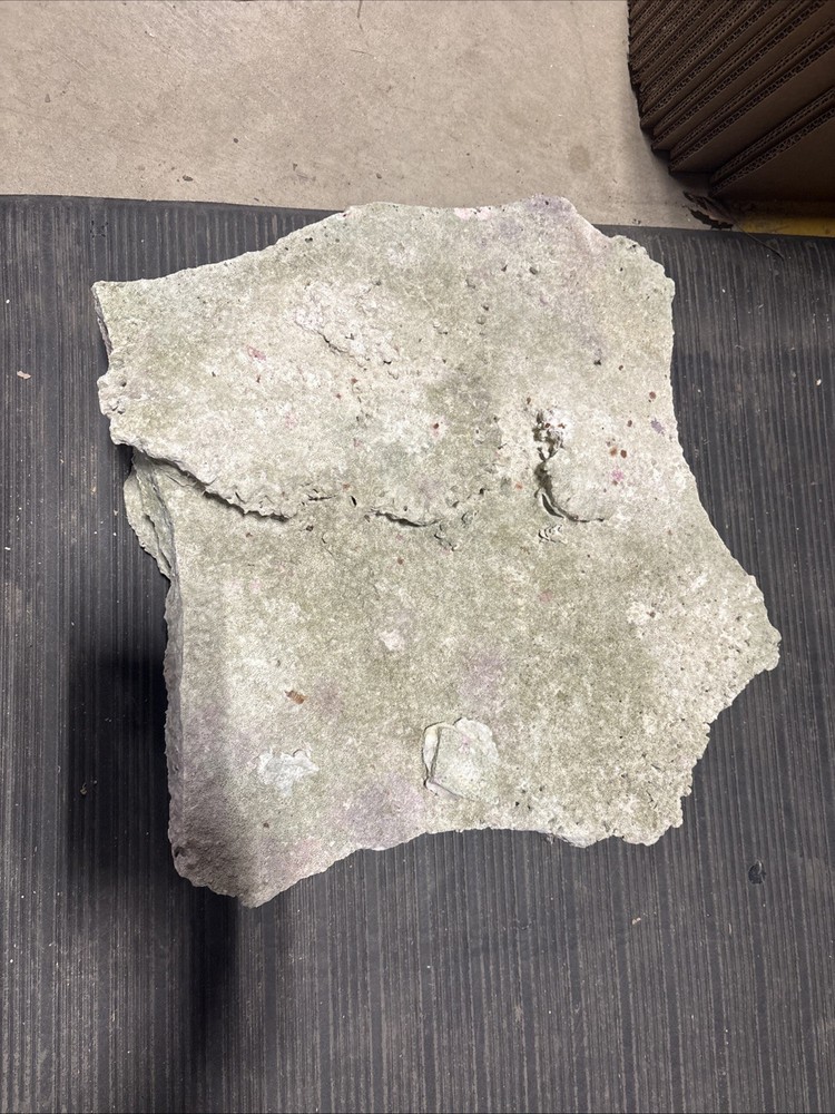 Large Plate Rock