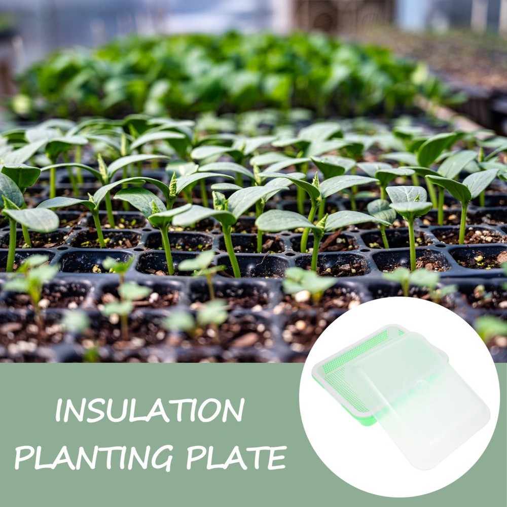 Vegetable Sprouting Container Garden Tray Microgreens Growing Trays