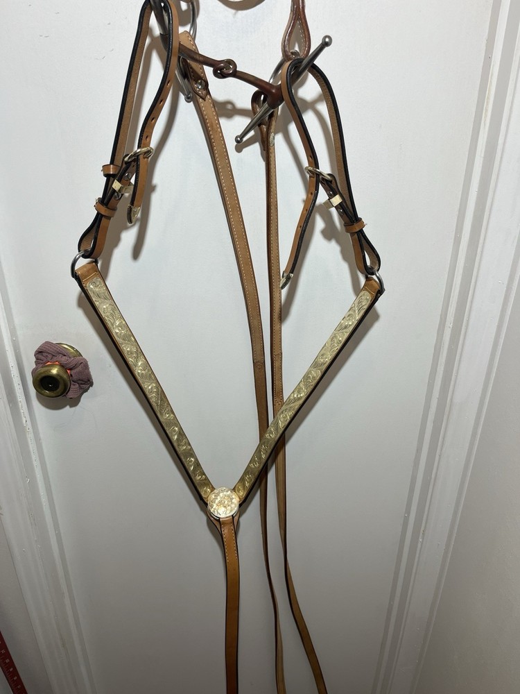 Head Stall With Breast Collar Bit Included. ￼