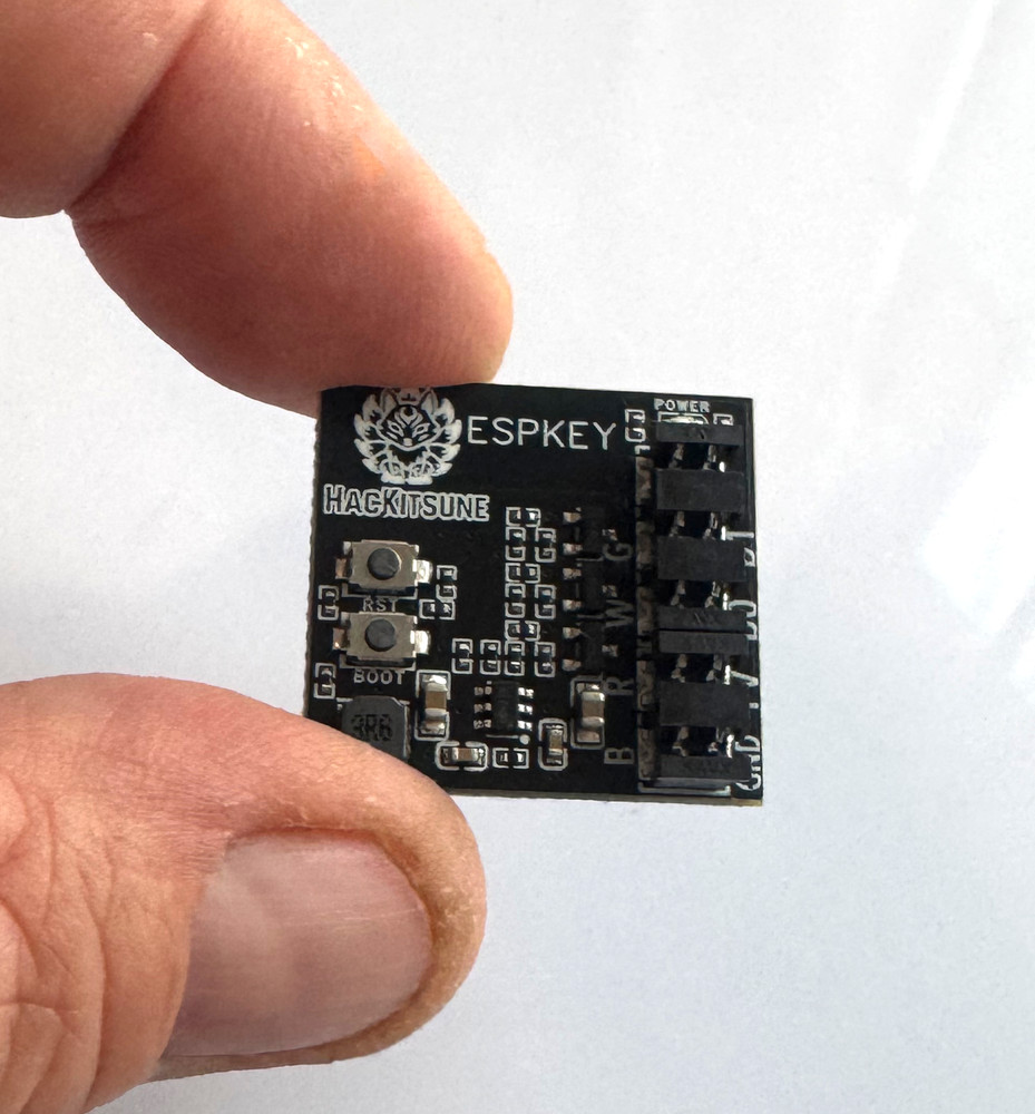 ESPKEY (with AVX Punchdown tool)