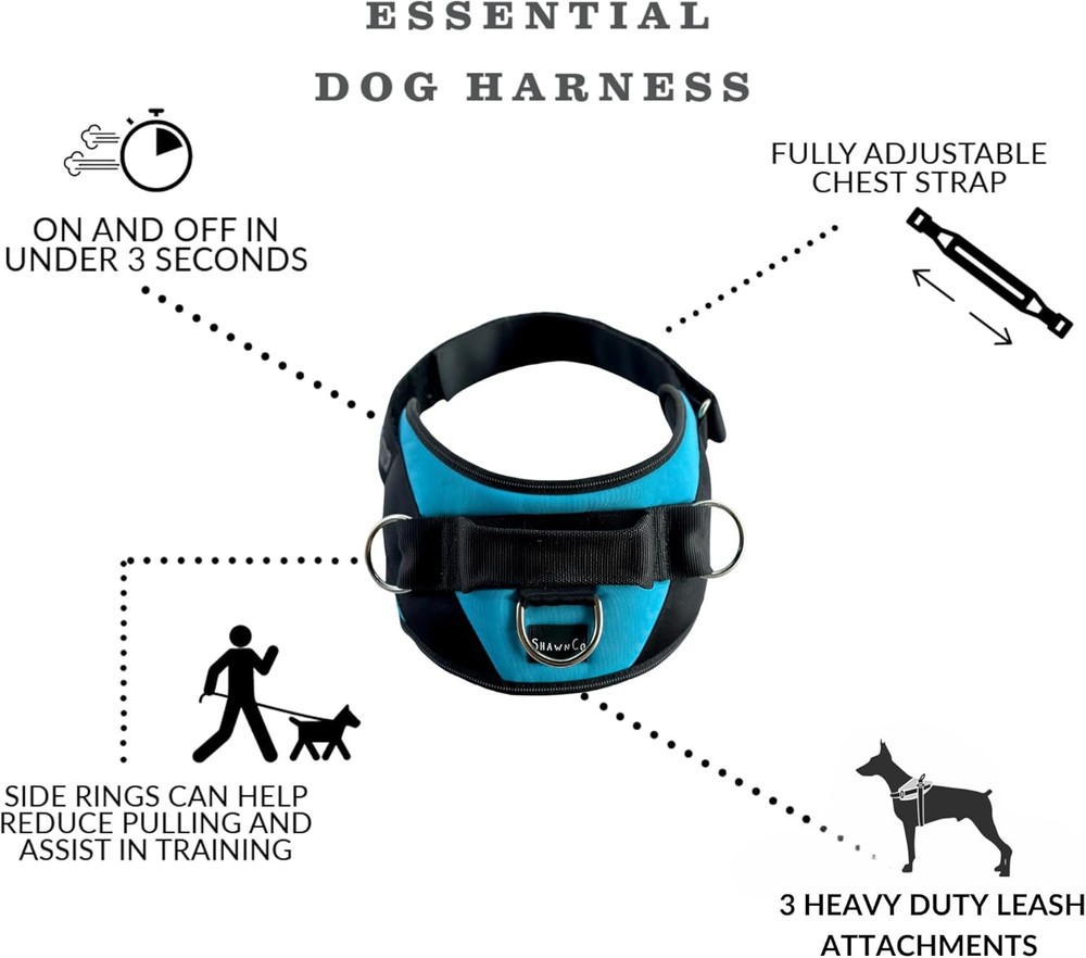Basic Dog Harness with Anti-Pulling Design and 3 Leash Hooks