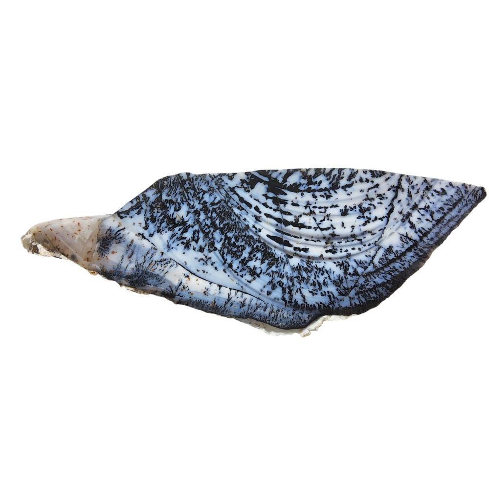 Parral Dendritic Agate, cabbing rough, lapidary, #R-6826