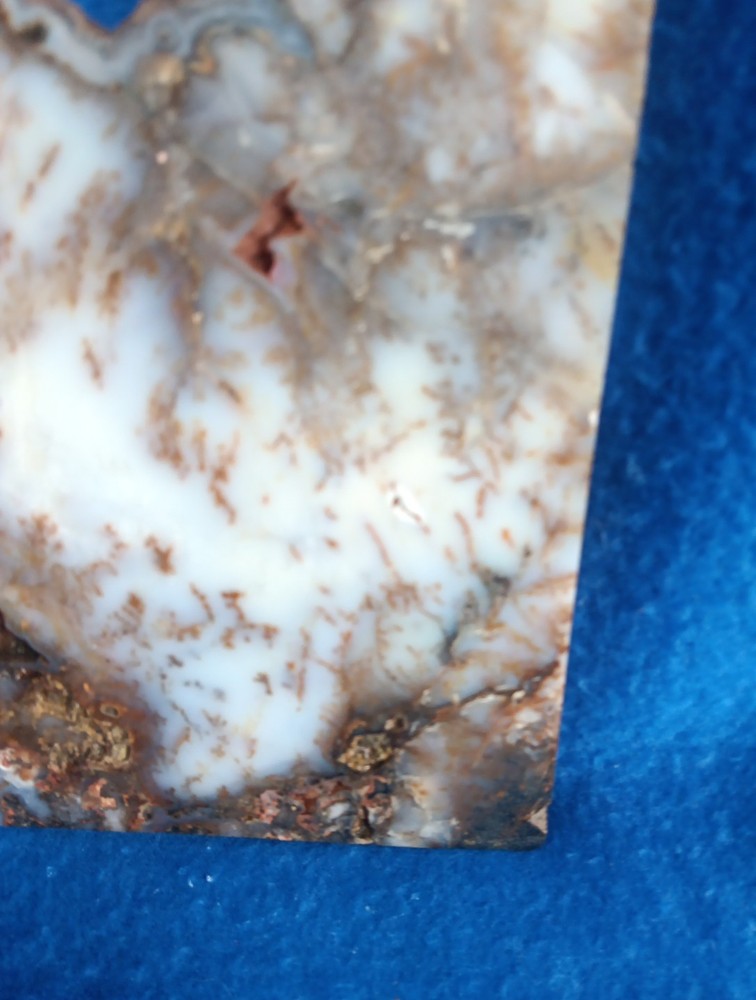 Graveyard Point Plume Agate rock slab lapidary cabbing 4x6