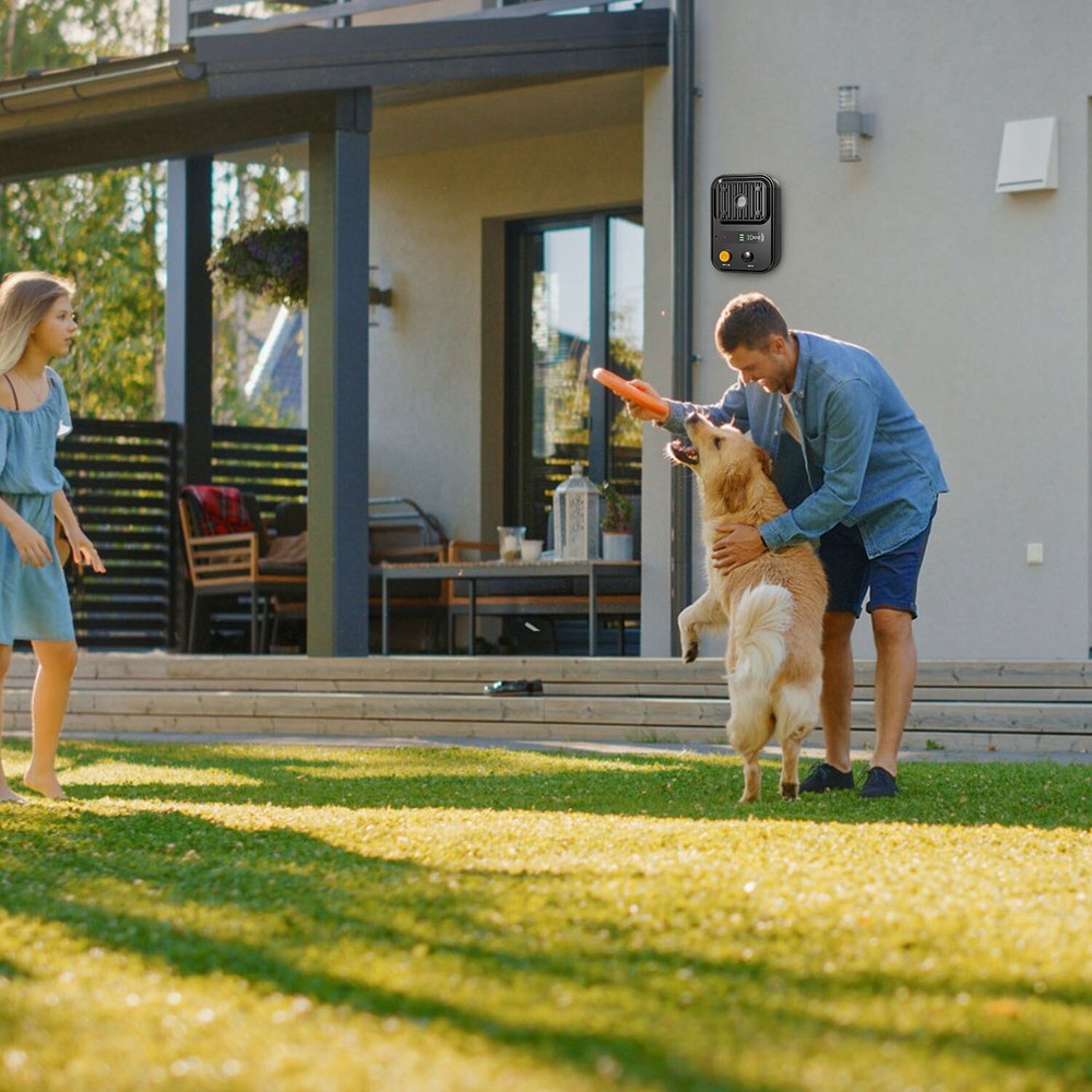 Anti-Barking Device Rechargeable Waterproof Training Box w/ 3 Frequency Control