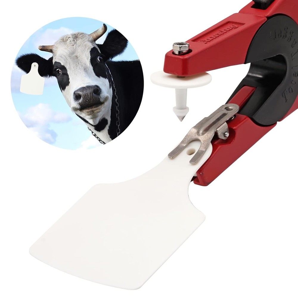 LIUCOGXI 100 Pcs White Blank Cattle Ear Tags Large Size oversize,