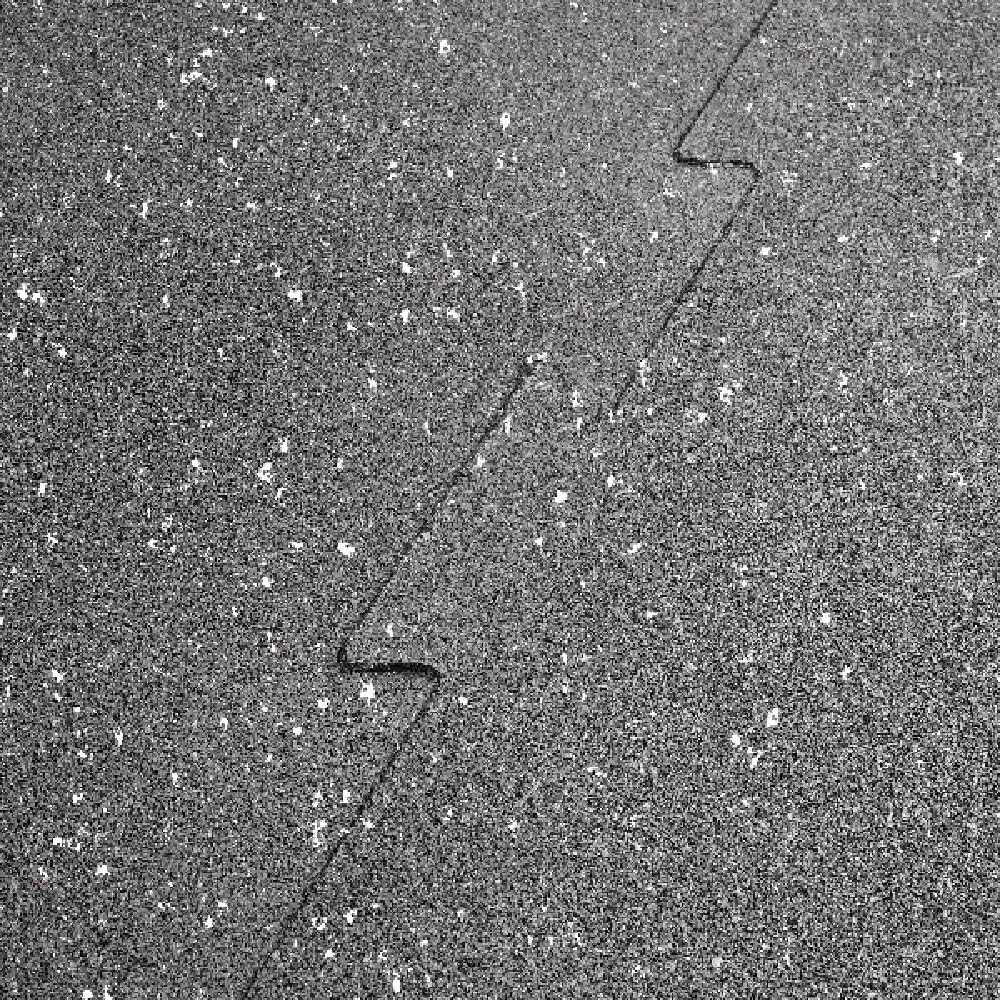 Body-Solid Tools Interlocking Rubber Gym Flooring for Home Gym, Garage