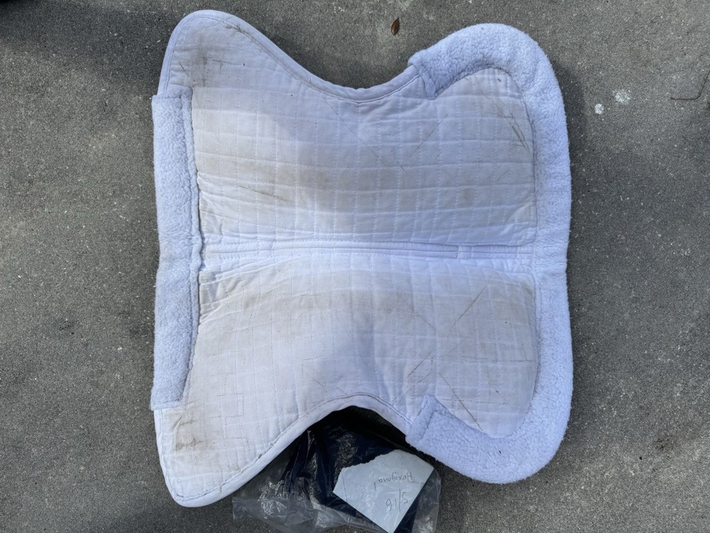 2024 SCHLEESE EVOLUTION Dressage Saddle 17.5 VCFS Adjustable Tree & Half-Pad