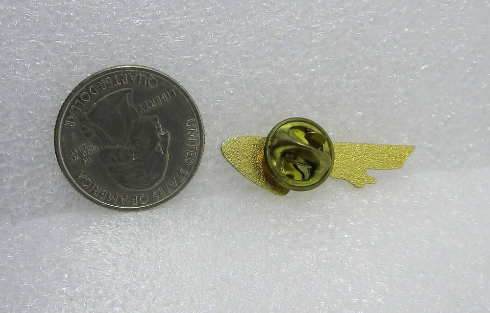 Comets Pin