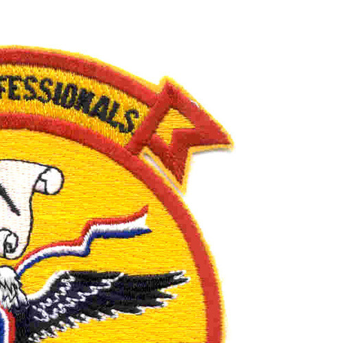 MWSS-372 Wing Support Squadron Patch Proud Professionals