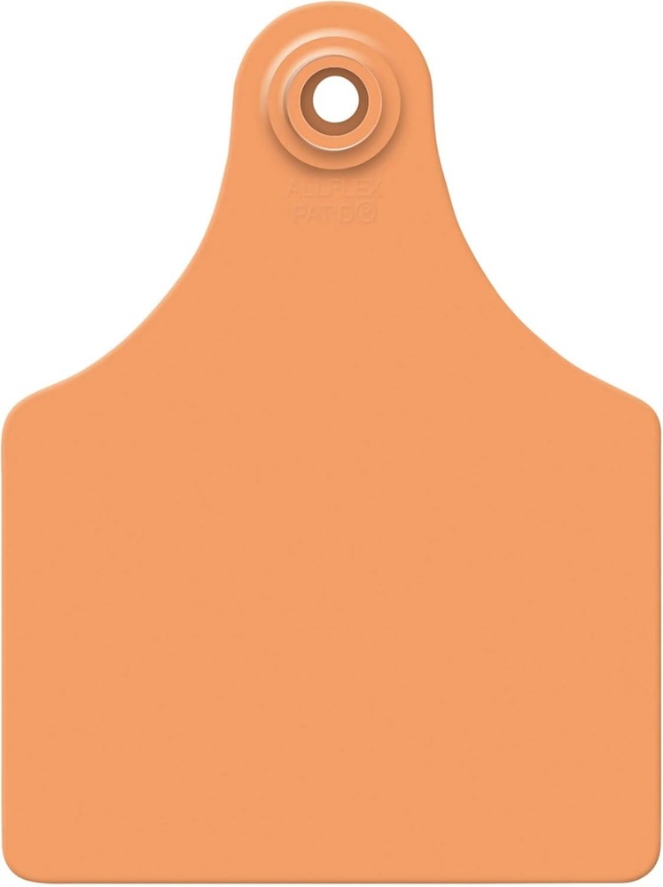 Tag Large Orange Blank