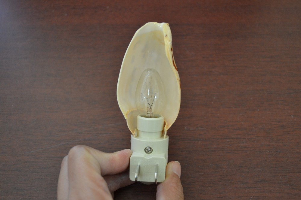 CONUS CONE SEA SHELL NIGHTLIGHT PLUG IN OCEAN THEME