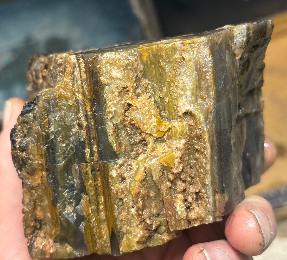 Colorful petrified wood