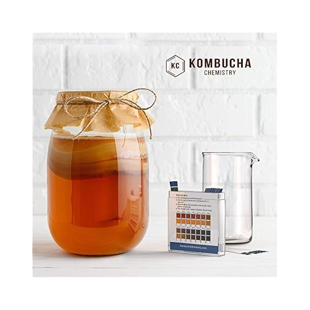 pH Test Strips for Kombucha, 0-6 Range (0.5 Steps), 100-Piece Kit