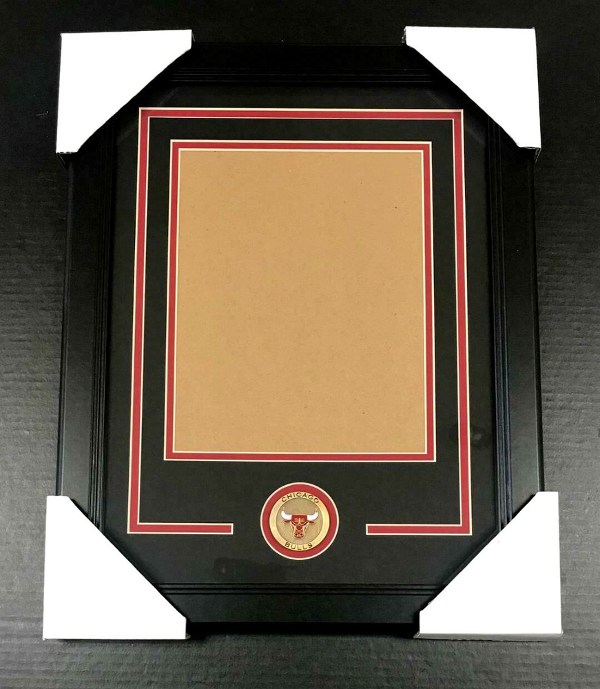 CHICAGO BULLS Medallion Frame Kit 8x10 Photo Double Mat VERTICAL