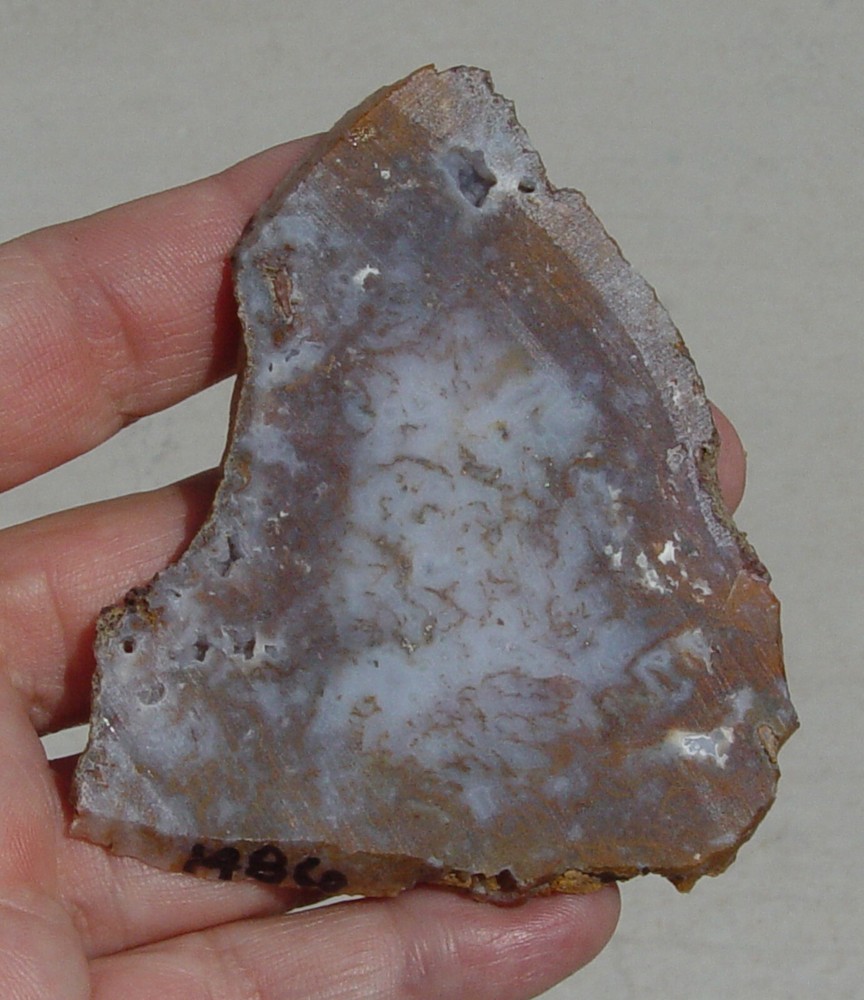 Gold Moss Agate Lapidary Slab 1486