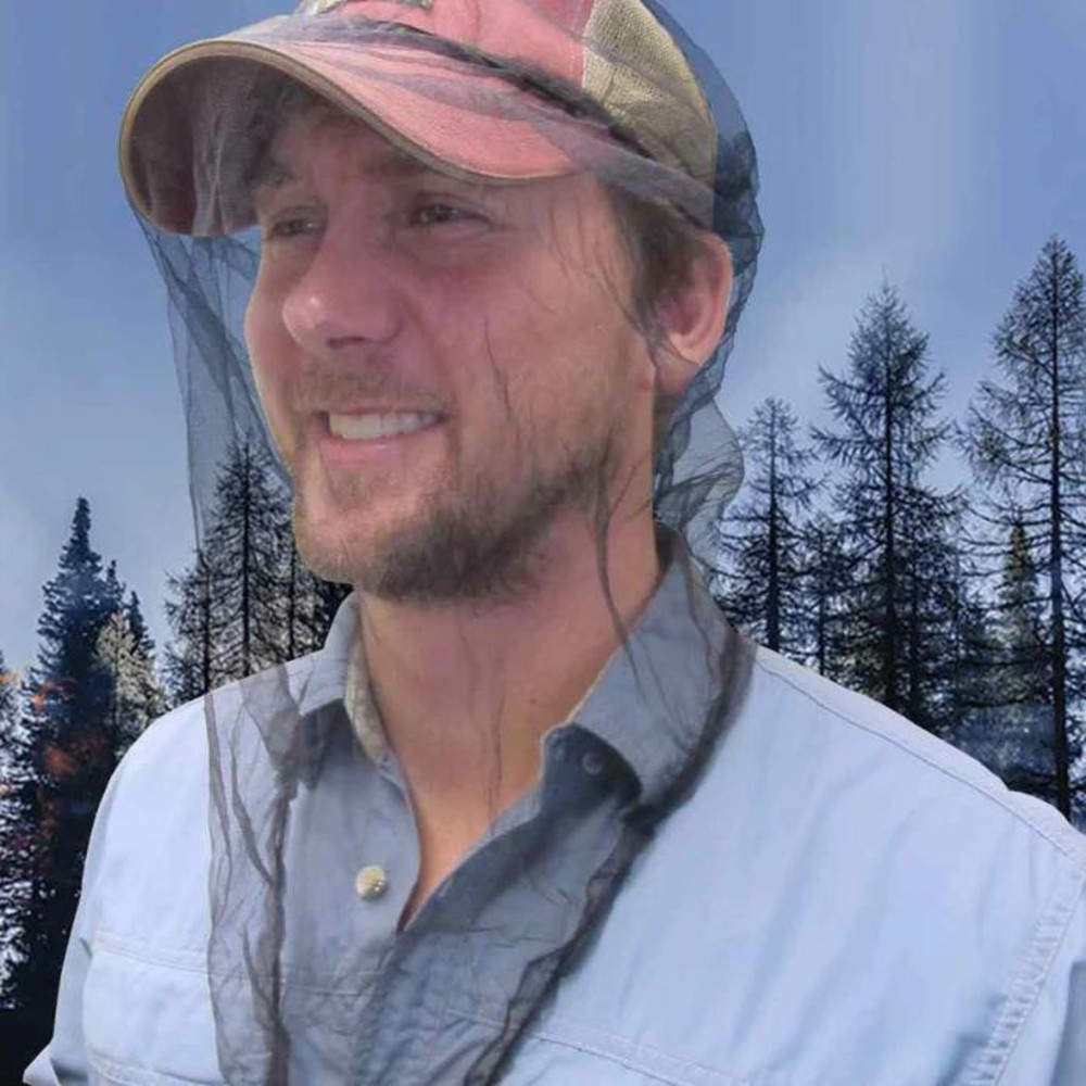 Ben's InvisiNet Head Net: 1 head net