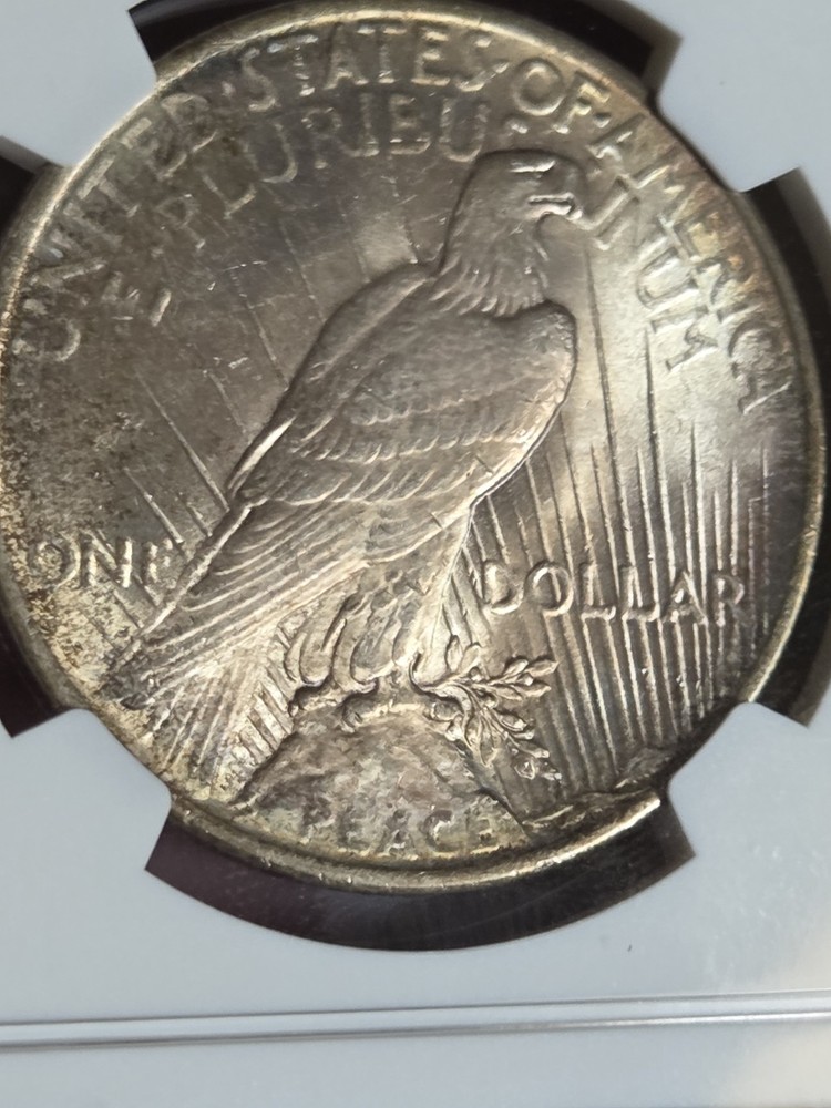 1922 $1 Peace Dollar NGC MS64 Toned