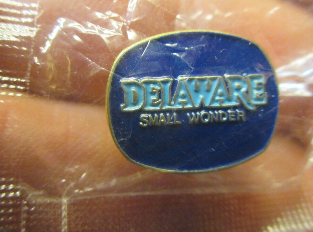 Delaware US State Small Wonder Text Blue Epoxy Enamel Tie Lapel Pin .75" new