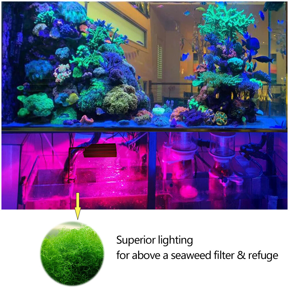 PopBloom LED Grow Light Full Spectrum Refugium Lamp for Algae Seaweed Filter