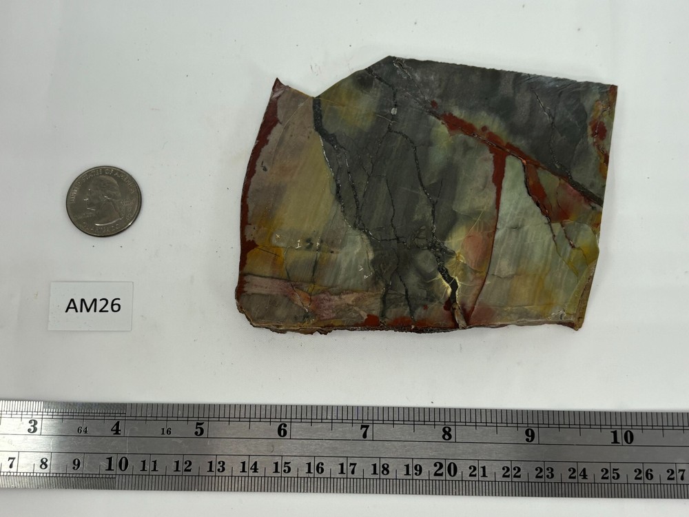 Arizona Polychrome Jasper aka Spring Jasper slab Cabbing Lapidary Combo ship avl