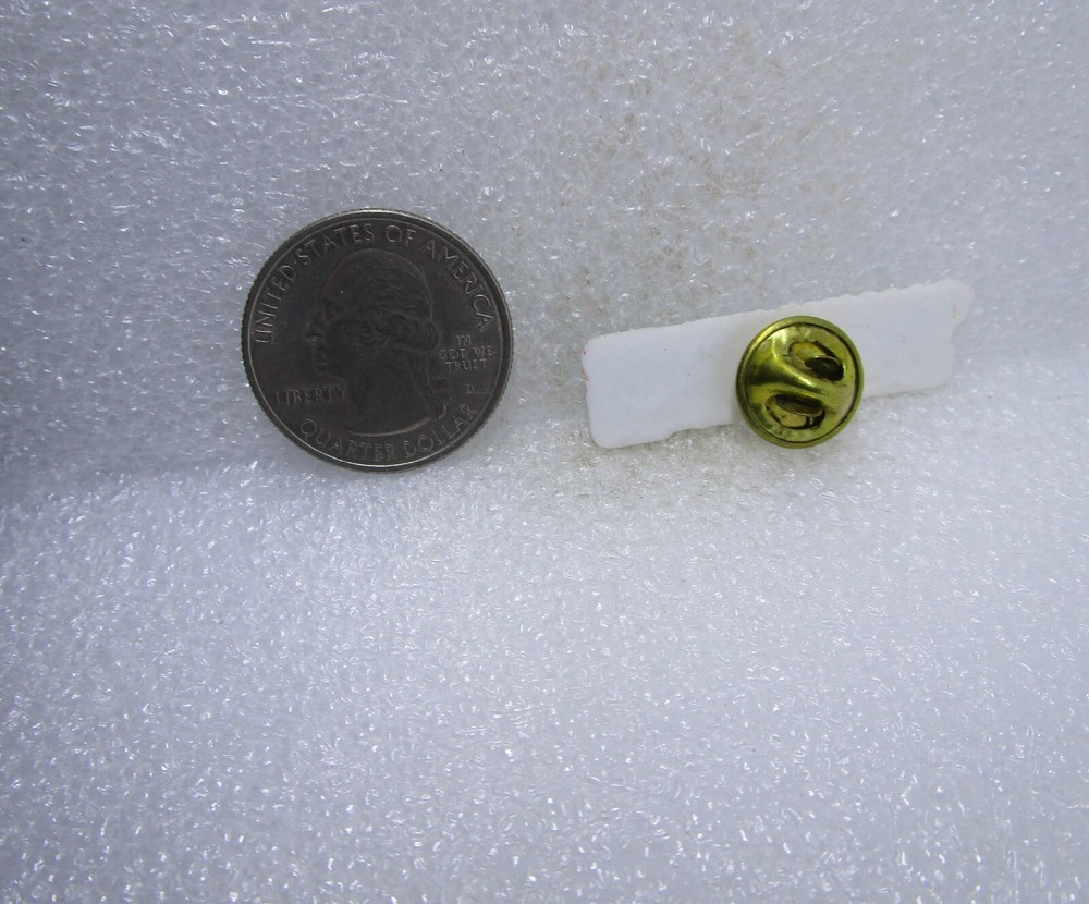 Standing Together Standing Strong Plastic Pin