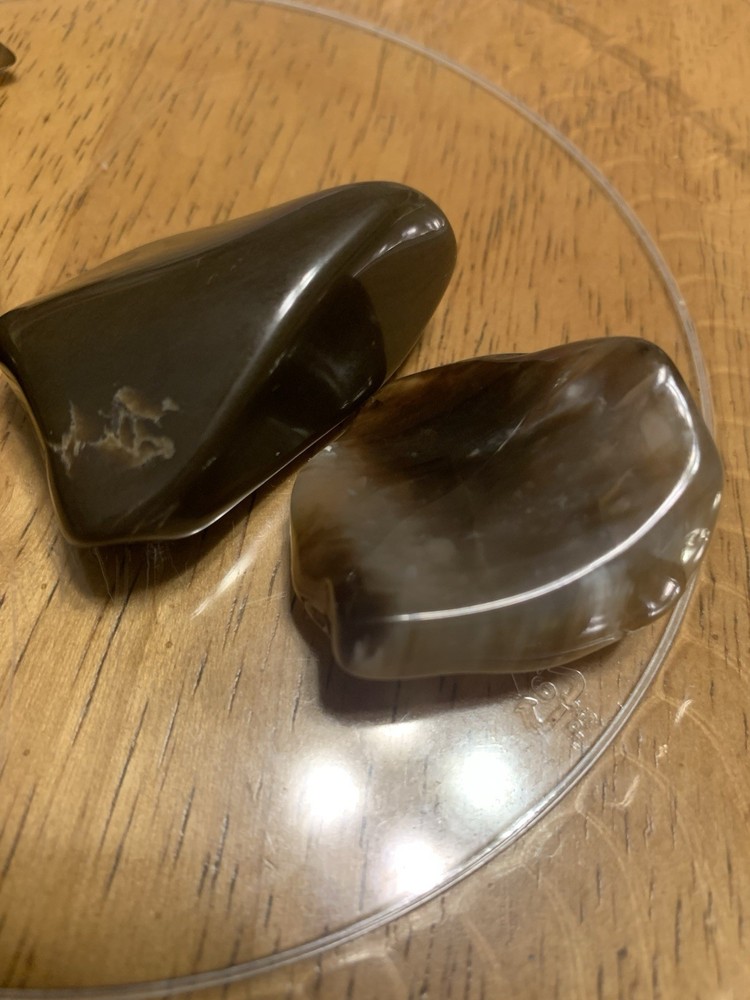 Black Petrified Wood Several Translucent 4.1 oz