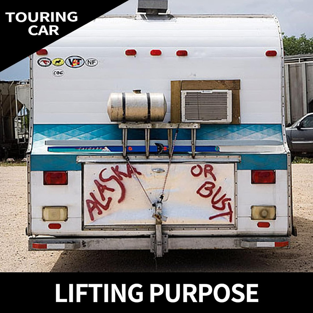 2 Packs Spring Plunger with Pull Ring, 1/4"- 20 Thread Size, 0.31" Thread Length