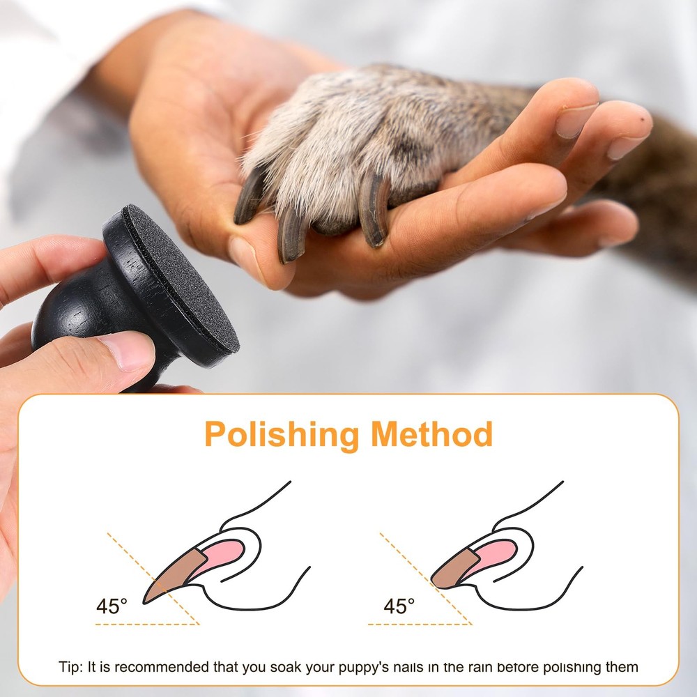 Dog Nail File 4 Pcs Replaceable Sandpaper StressFree Scratch Board Mini