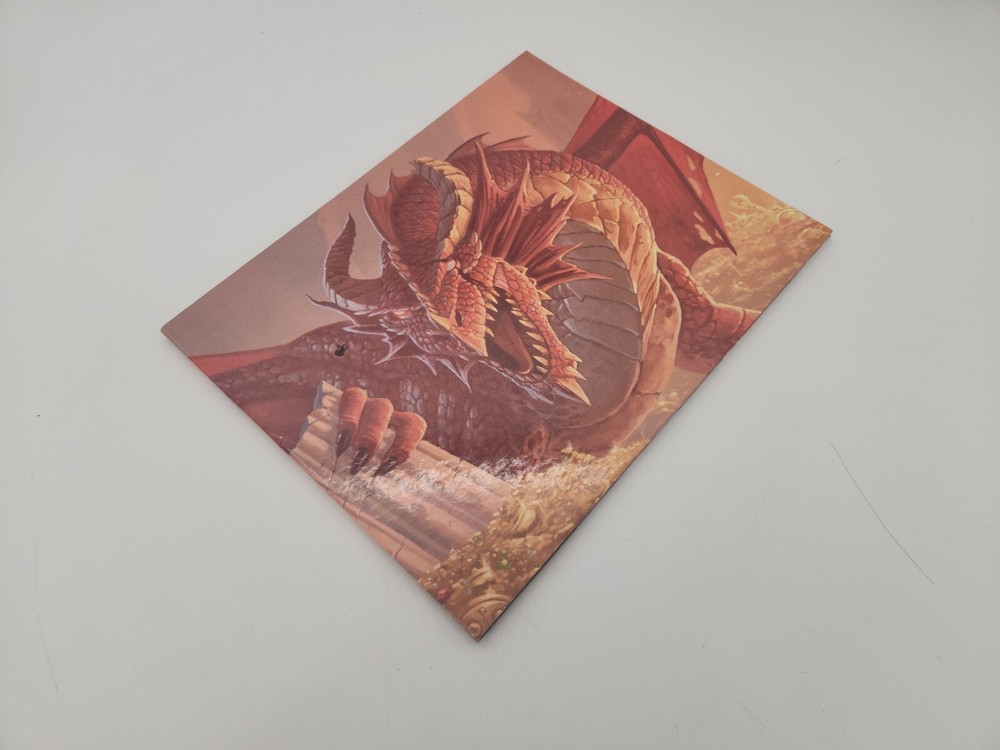 Dungeons and Dragons Dungeon Master's DM Screen Shield D&D 5th ed 2014 dungeons!