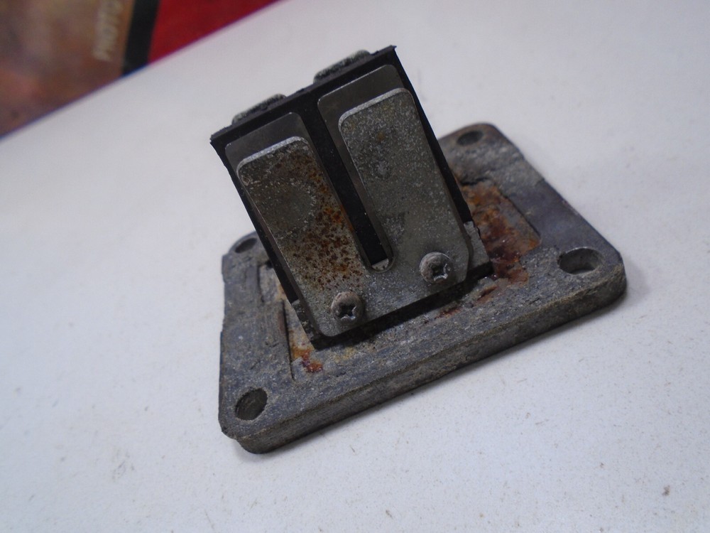 2000 YAMAHA RT 100 REEDS CAGE VALVE 00 RT100