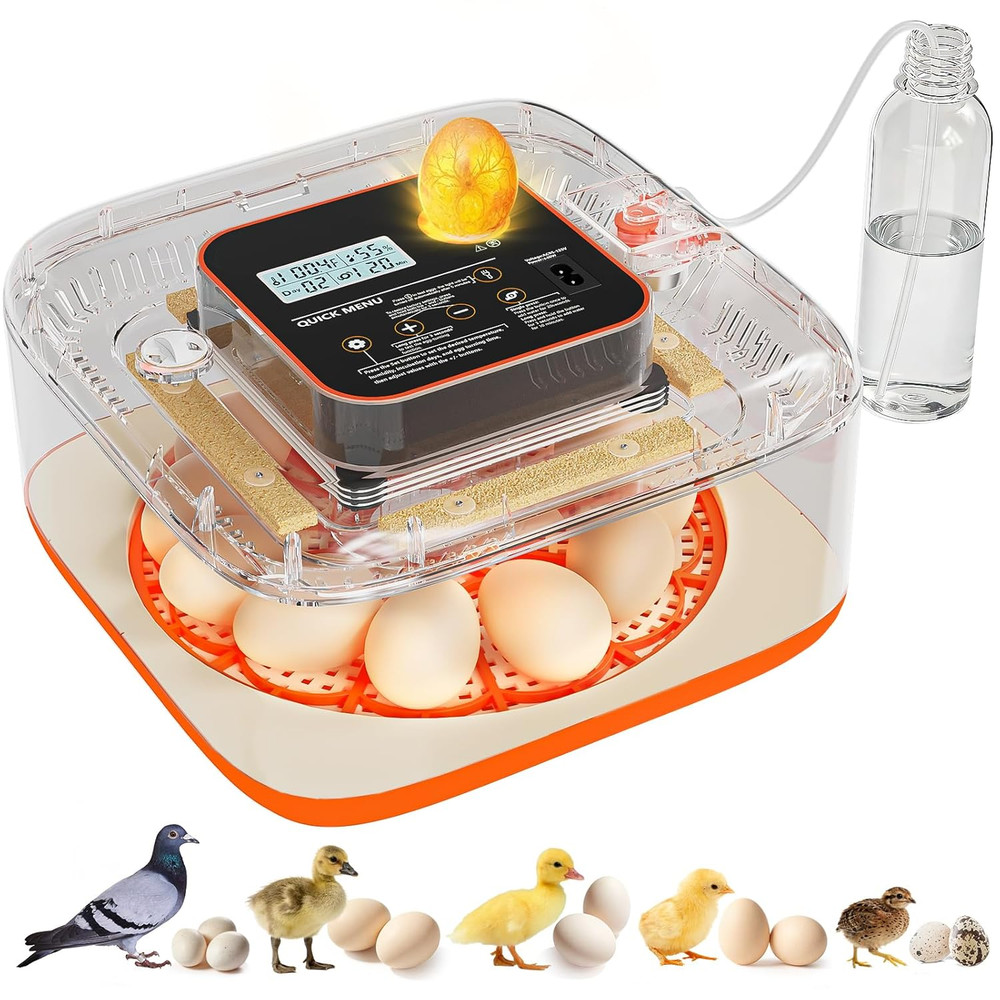 Incubators for Hatching Eggs 12 Egg Digital Egg Incubator Precision Auto Temp Hu