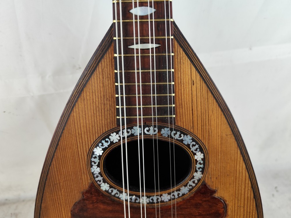 Mandolin 4/4 Giovanni Salv 1901 Naples 曼陀林 만돌린マンドリン