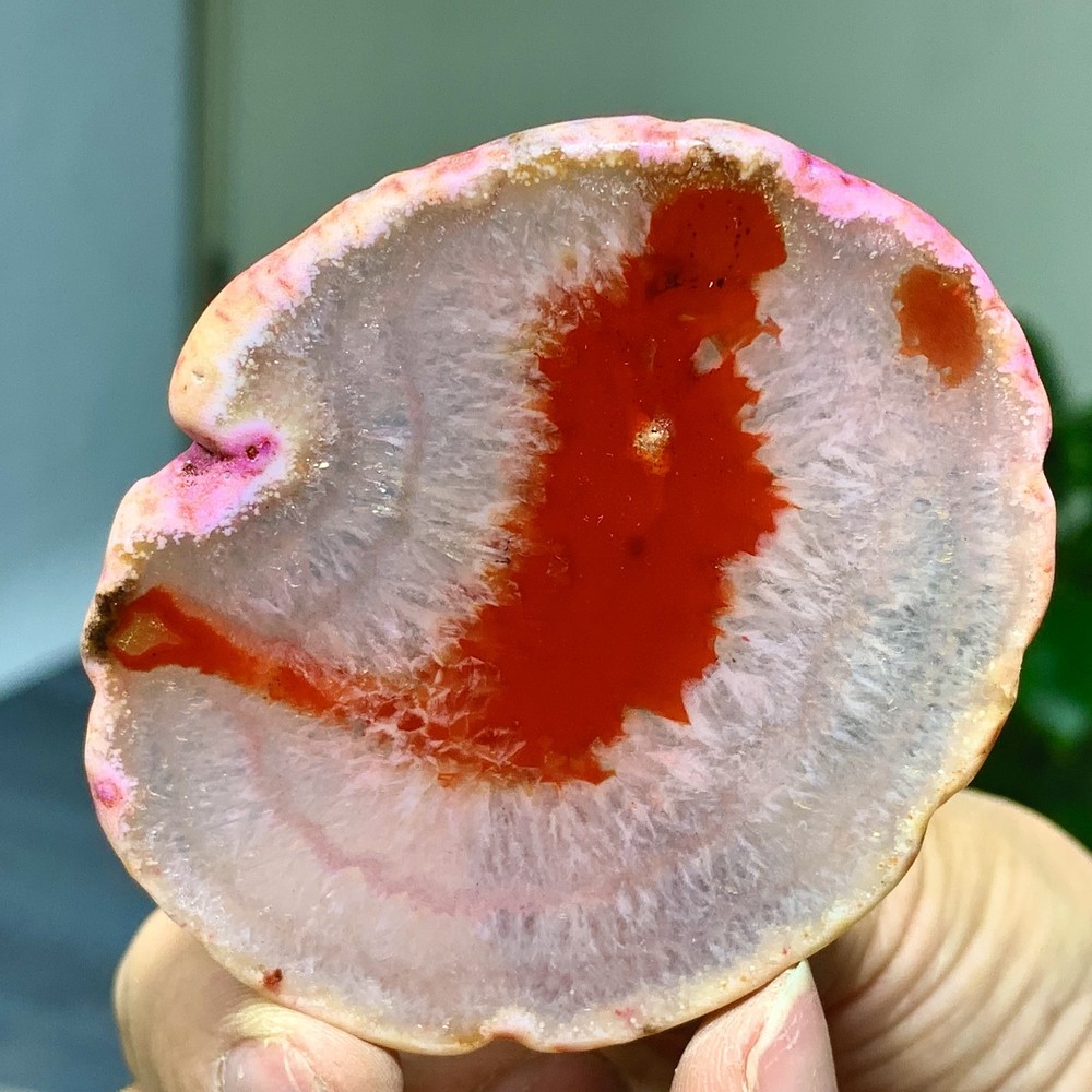 42G Natural Beautiful Agate Geode Druzy Slice Extra Large Gemstone