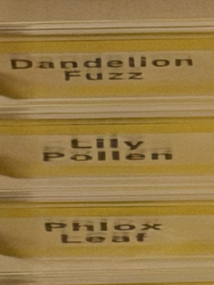 AMSCOPE 48 Pro Prepared Microscope Slides, New, Homeschool