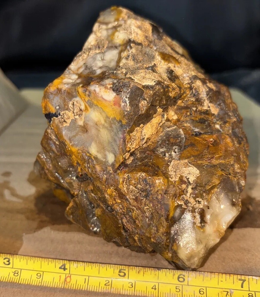 Silver Creek Junction petrified wood