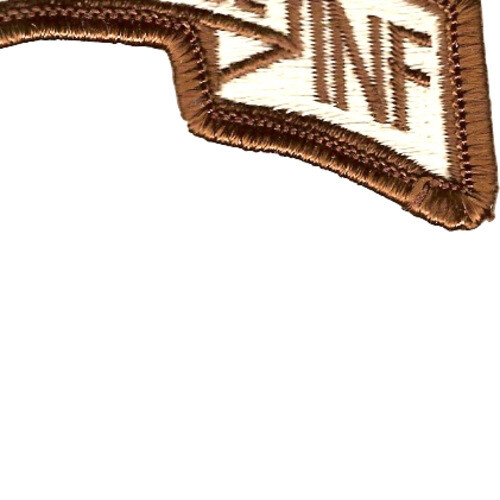 74th LRS Infantry Desert Patch