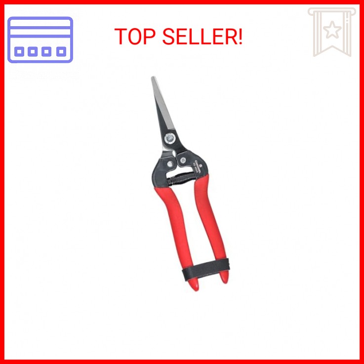 Corona Long Straight Snip