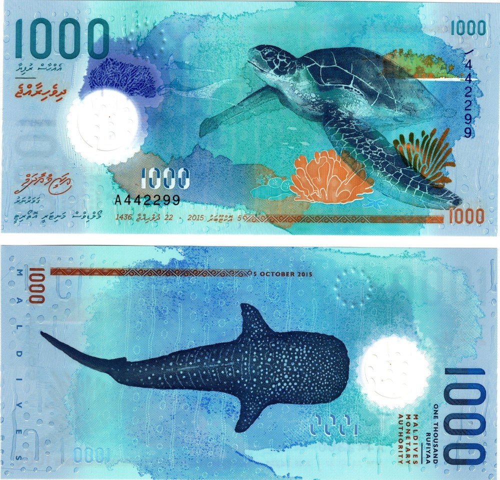 2015 Maldives Banknote UNC P31  1000 Rufiyaa Polymer