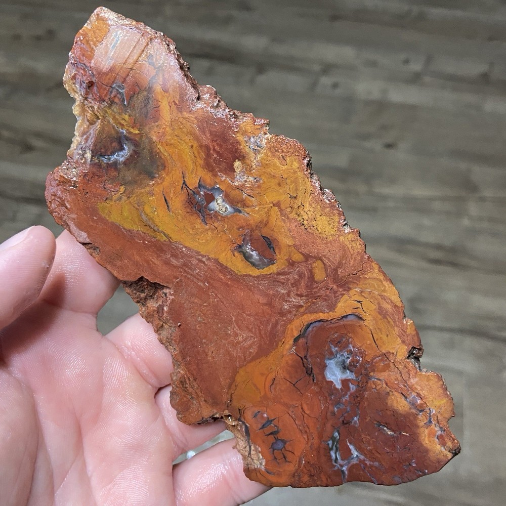 Beautiful Large Red Plume Agate Slab 5.36 Oz