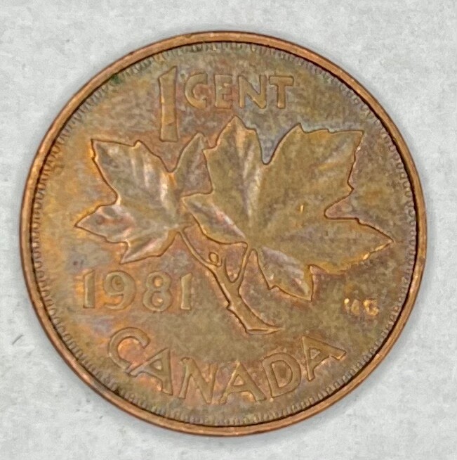 1981 Canadian Penny 1-Cent Coin
