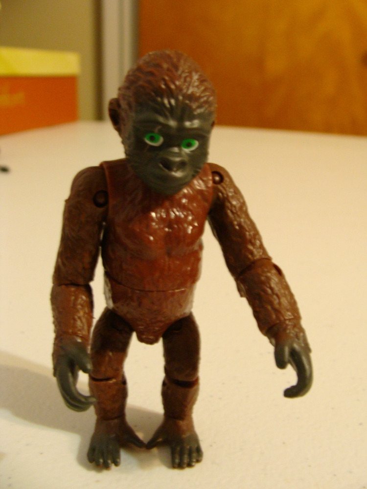 LEGENDARY SUKU GODZILLA VS KONG