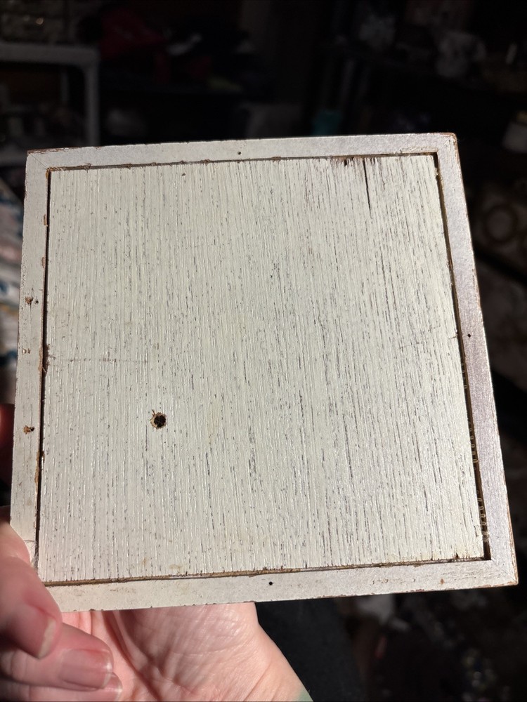Butterfly Specimen Square Shadow Box