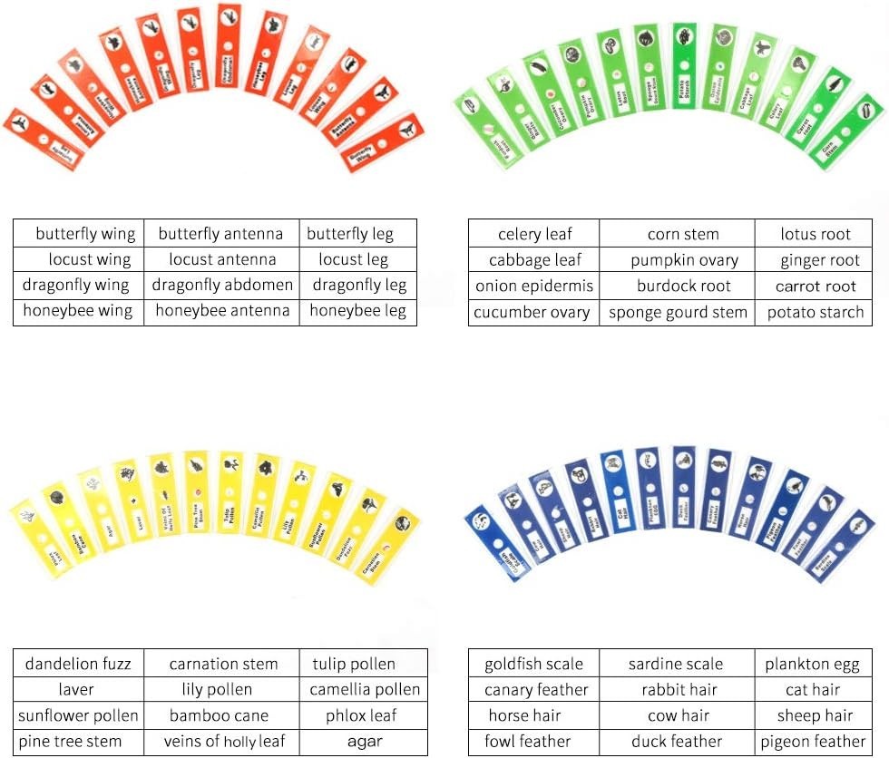 Clear Observation with 48 Biological Microscope Slides - Kid-Friendly Science